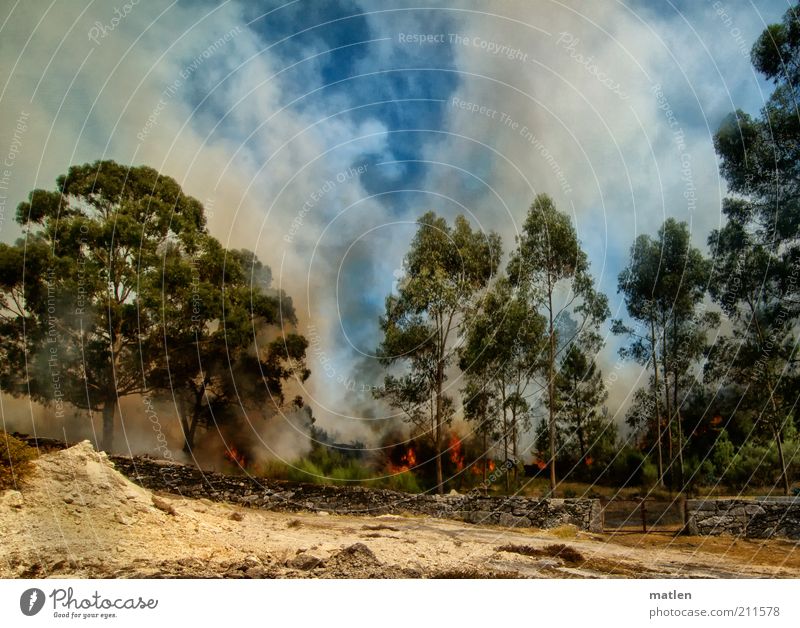 lighter Nature Landscape Earth Sand Air Sky Clouds Summer Beautiful weather Tree Forest Deserted Wall (barrier) Wall (building) Multicoloured Burn Smoking Smoke