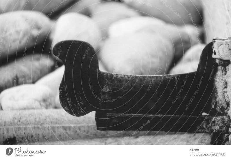 shoe scratches Iron Pebble Things Black & white photo shoe scrapers