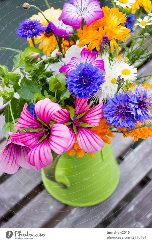 Flowers fresh from the field Summer Spring Multicoloured Bouquet Yellow Green Blue Orange White Cornflower Marigold Pink