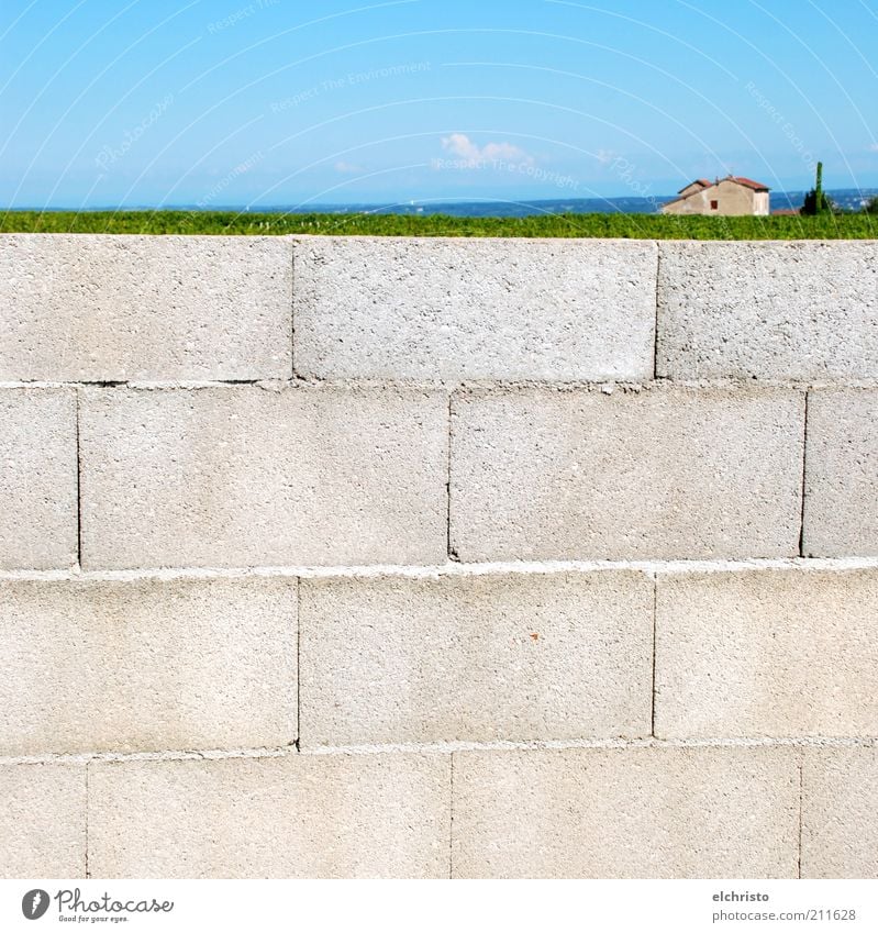 On the wall, on the lurk Landscape Beautiful weather Wall (barrier) Wall (building) Blue Gray Green Brick construction House (Residential Structure)