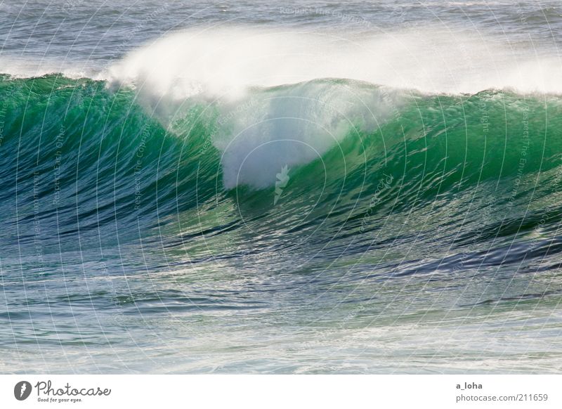 leave the ocean as you found it Ocean Water Climate Beautiful weather Waves Movement Glittering Tall Wet Wild Blue Green Power Nature Pure White crest