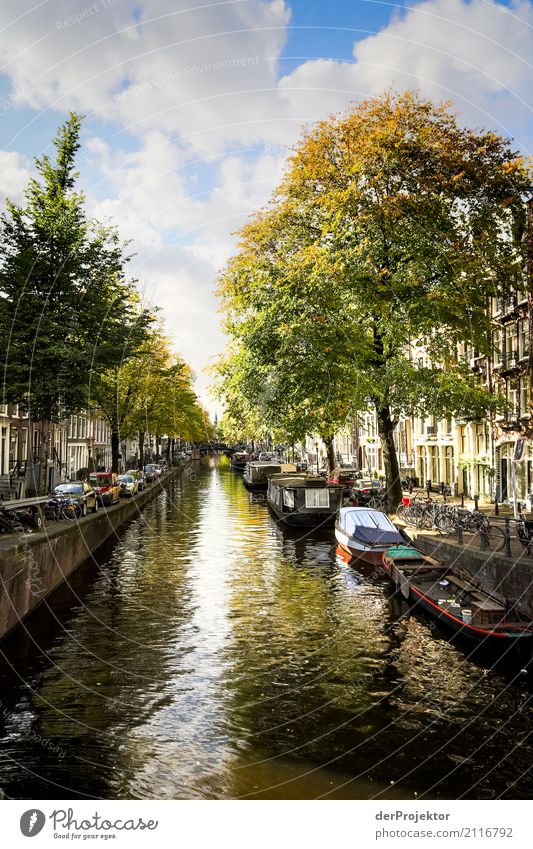 Amsterdam canals VIII Wide angle Central perspective Deep depth of field Sunbeam Reflection Contrast Shadow Light Day Copy Space middle Copy Space right