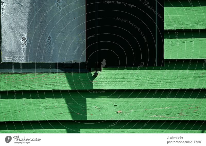 bottom right House (Residential Structure) Hut Wall (barrier) Wall (building) Facade Window Wood Old Observe Living or residing Green Black White Mysterious