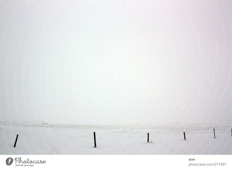 spiritualized 3 Environment Nature Landscape Elements Horizon Winter Climate Climate change Weather Fog Ice Frost Snow Meadow Field Simple White Serene Calm