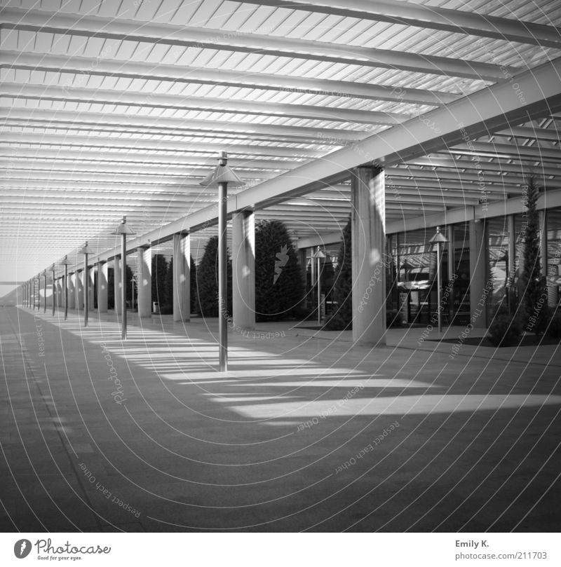 waiting room Lamp Palma de Majorca Airport Cold Black White Stagnating Black & white photo Interior shot Deserted Morning Shadow Sunlight Vacation & Travel