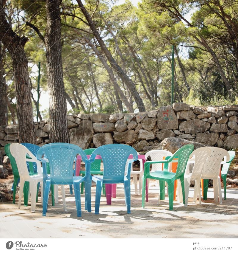 you little children come, oh come all... Plant Tree Wall (barrier) Wall (building) Chair Multicoloured Colour photo Exterior shot Deserted Day Stone wall Empty