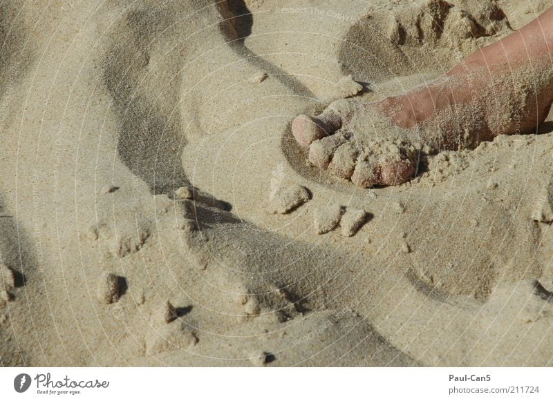 stay in bed Skin Feet Sand Summer Beach Lie Contentment Vacation & Travel Colour photo Subdued colour Exterior shot Day Calm Relaxation Toes Detail