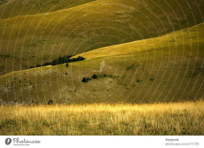 Mongolia Harmonious Well-being Contentment Calm Vacation & Travel Freedom Mountain Environment Nature Landscape Summer Autumn Grass Meadow Hill Alps