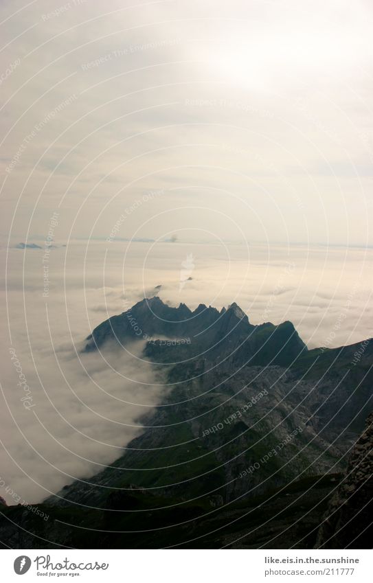 over the clouds... (II) Calm Trip Far-off places Freedom Summer Mountain Environment Nature Landscape Clouds Sunlight Beautiful weather Fog Rock Alps