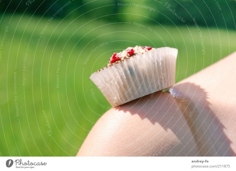 muffin Shoulder Beautiful weather Grass Muffin Delicious Sweet Green Red Leisure and hobbies Tartlet Nutrition Dessert Picnic Cake Candy Coffee break