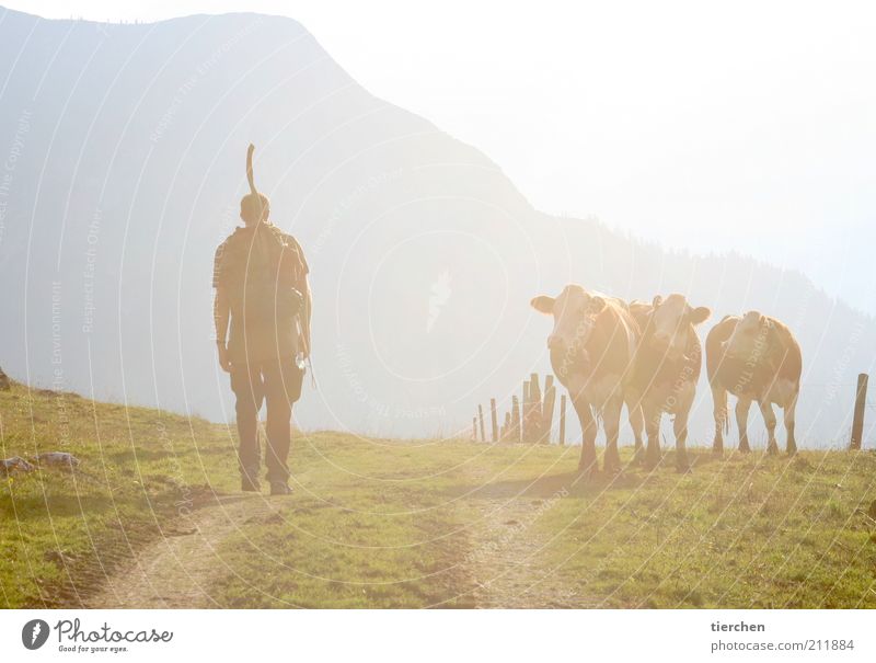 "Yes mei, the Alminger is smart!" Vacation & Travel Trip Freedom Summer Sun Hiking Human being Masculine Man Adults 1 Nature Sunlight Beautiful weather Grass