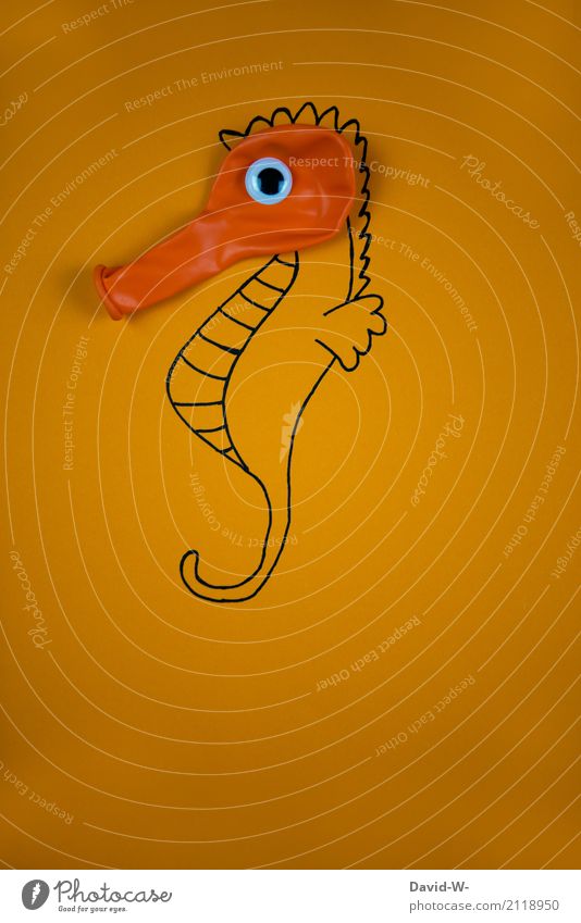 seahorses Lifestyle Leisure and hobbies Playing Art Artist Zoo Environment Nature Water Ocean Animal Farm animal Aquarium 1 Observe Swimming & Bathing Elegant