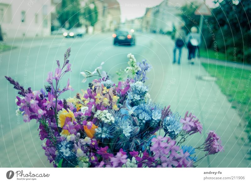 bouquet Nature Plant Spring Summer Flower Pedestrian Street Vehicle Bouquet Fragrance Blue Multicoloured Green Pink Emotions Summerflower Urbanization