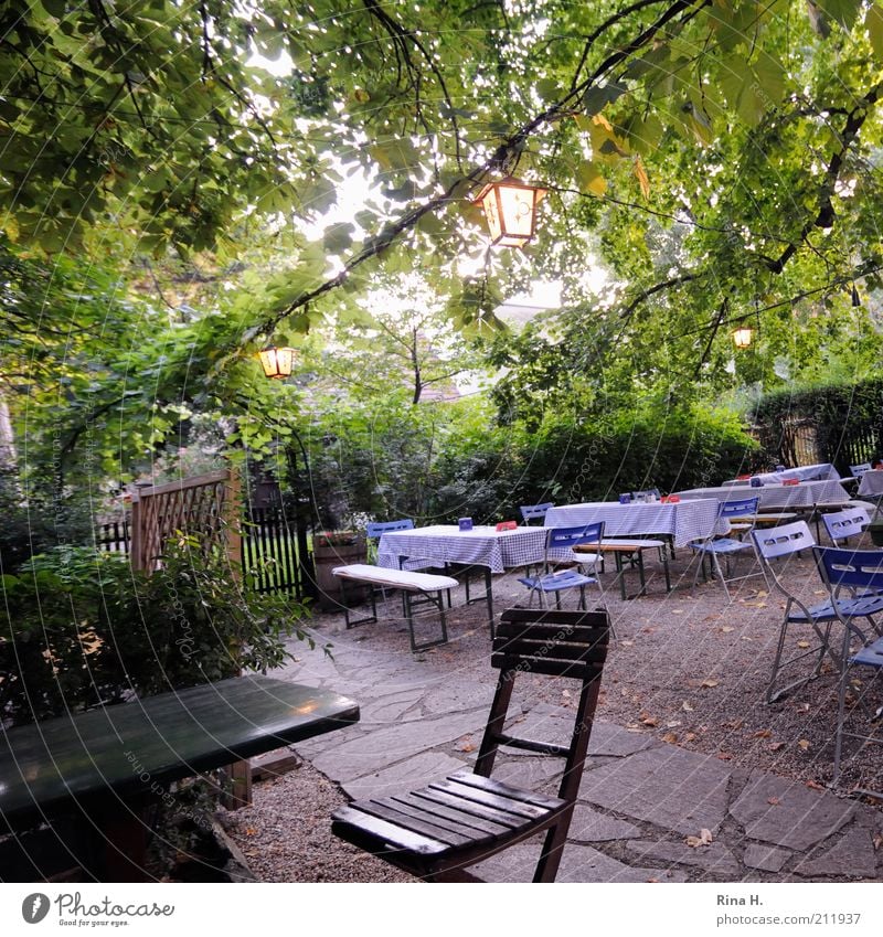 waiting Lifestyle Calm Summer Chair Table Restaurant Garden Vienna Wait Authentic Simple Green Seasonal winery grinzing Colour photo Exterior shot Deserted