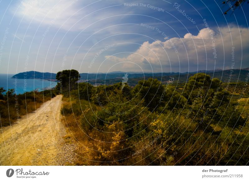 On the road to Shambala Nature Landscape Plant Sky Clouds Horizon Beautiful weather Grass Bushes Coast Ocean Far-off places Vacation & Travel Calm