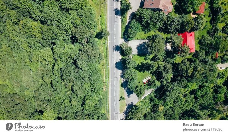 Aerial View Of Road Running Through Carpathian Mountains Forest Environment Nature Landscape Earth Summer Beautiful weather Tree Grass Meadow Field Transport