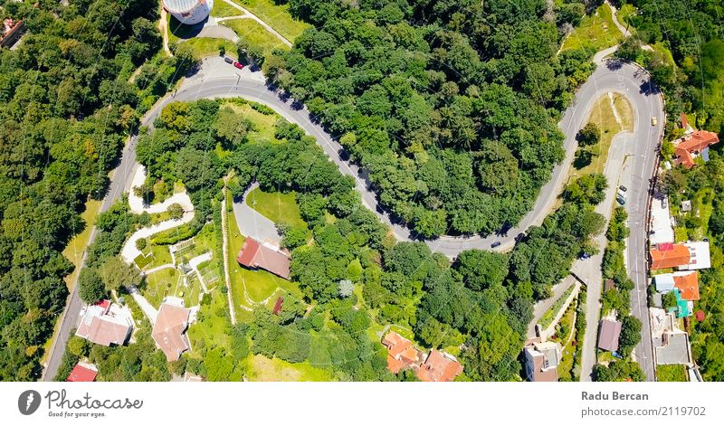 Aerial View Of Road Running Through Carpathian Mountains Forest Environment Nature Landscape Earth Summer Beautiful weather Tree Romania Small Town