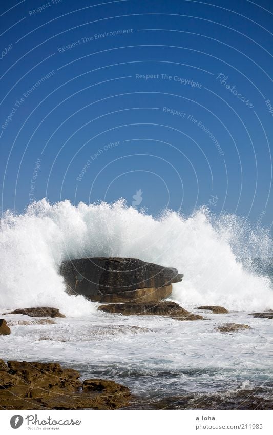 110 Summer Beach Elements Water Cloudless sky Beautiful weather Rock Waves Coast Ocean Movement Large Tall Wet Wild Blue Power Australia Bondi Beach White crest