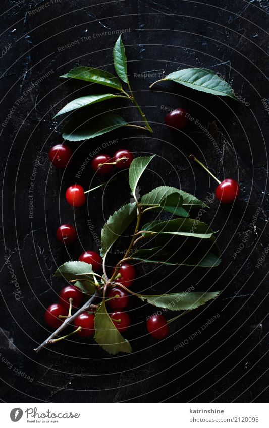 Fresh sour cherries on a dark background top view Fruit Vegetarian diet Diet Summer Table Leaf Dark Delicious Juicy Sour Wild Brown Green Red Berries Cherry