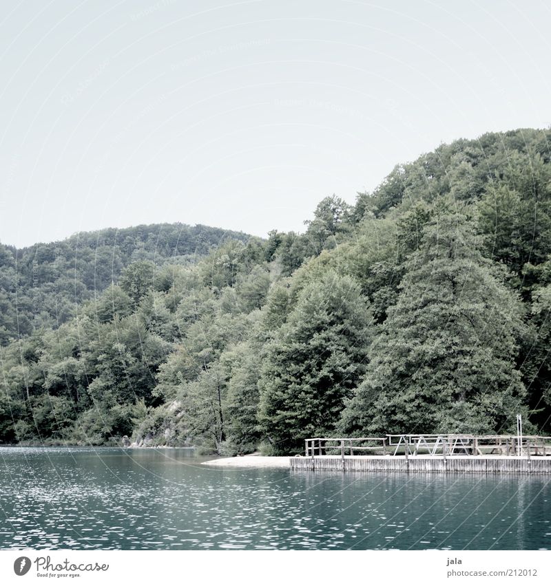 footbridge Nature Landscape Sky Tree Lake Footbridge Gloomy Colour photo Subdued colour Exterior shot Deserted Day Lakeside Beautiful weather Idyll