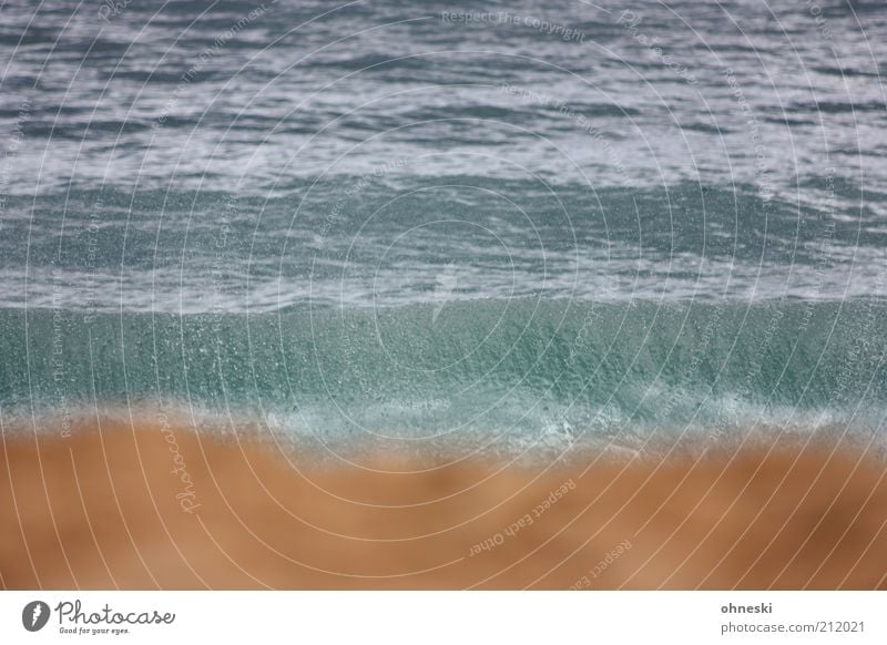 Big Beach Elements Sand Drops of water Waves Coast Ocean Subdued colour Exterior shot Copy Space bottom Day Blur Water Deserted