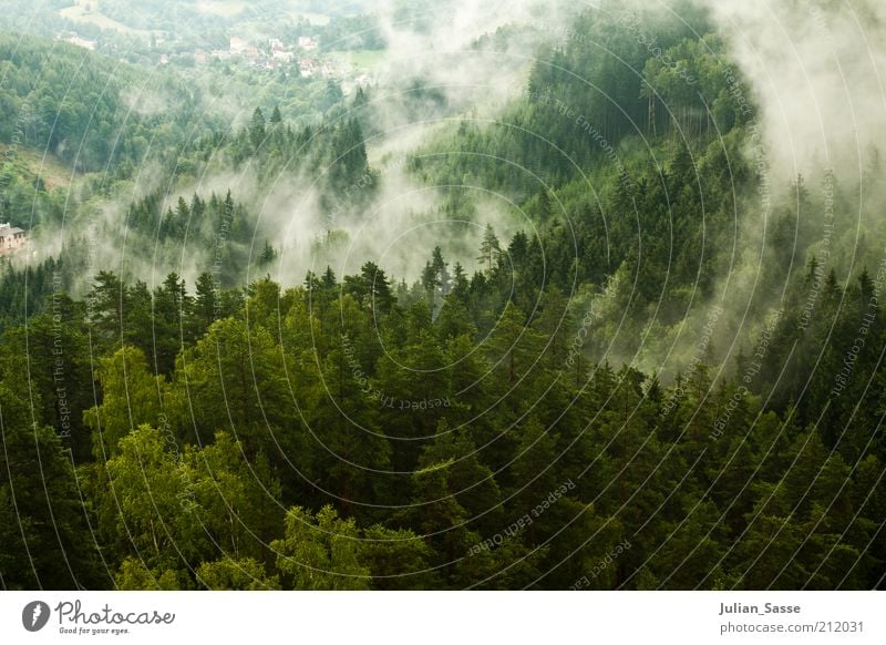 wafts of mist Environment Nature Landscape Plant Clouds Climate Weather Fog Rain Forest Virgin forest Hill Rock Mountain Dark Mystic Giant Mountains Fog bank