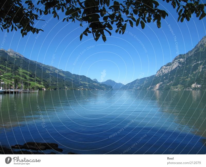 The mountain lake Nature Landscape Water Cloudless sky Horizon Summer Beautiful weather Alps Mountain Lakeside Walensee Blue Moody Calm Symmetry Colour photo