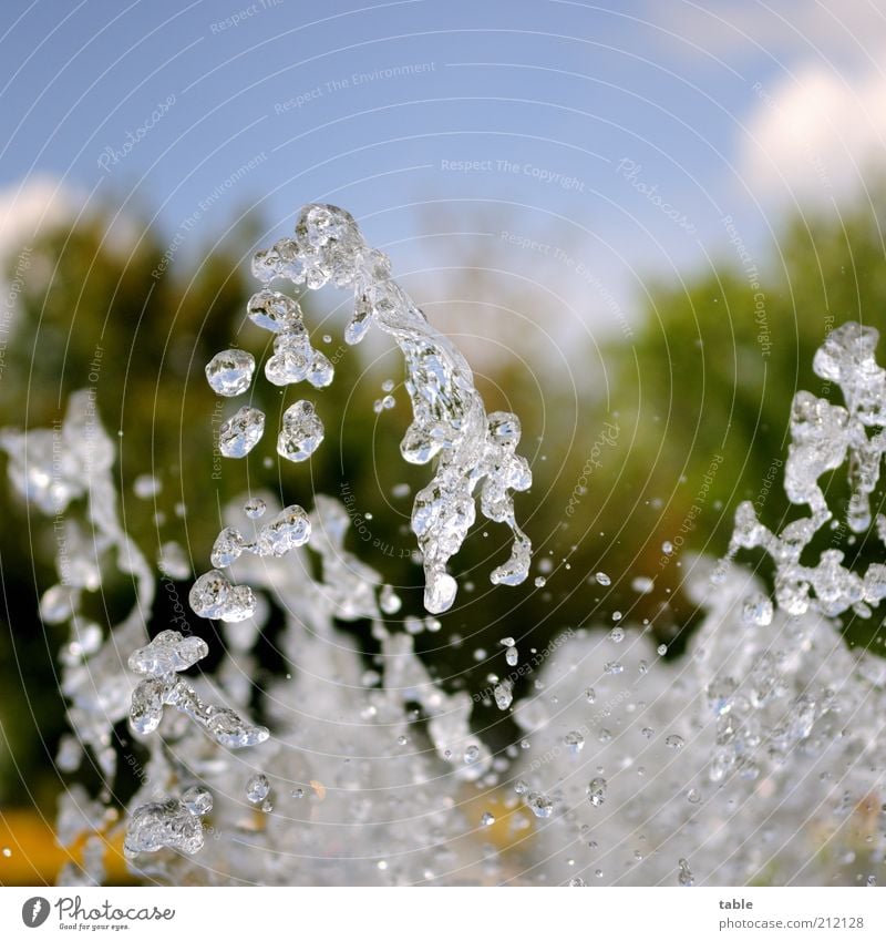 jumpin' water. . . Environment Elements Water Drops of water Movement To fall Jump Fluid Glittering Cold Wet Natural Clean Emotions Ease Pure Fresh Fountain