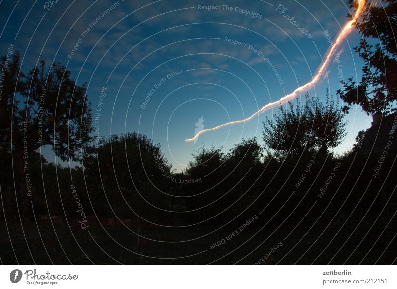 UFO Environment Nature Landscape Night sky Beautiful weather Tree Garden Park Line Dream Uniqueness Speed Movement Dynamics Illumination Tracer path