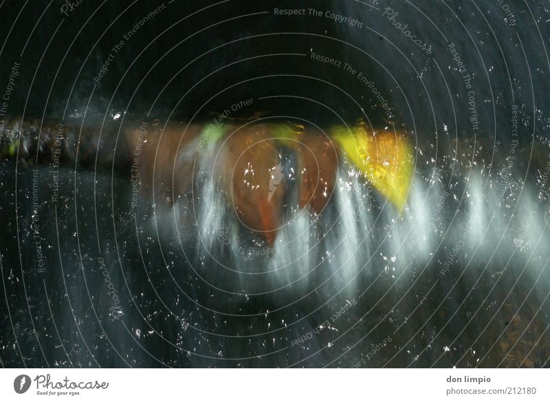 float2 Environment Nature Water Plant Leaf Fluid Colour photo Detail Experimental Copy Space top Copy Space bottom Flash photo Blur Motion blur Movement