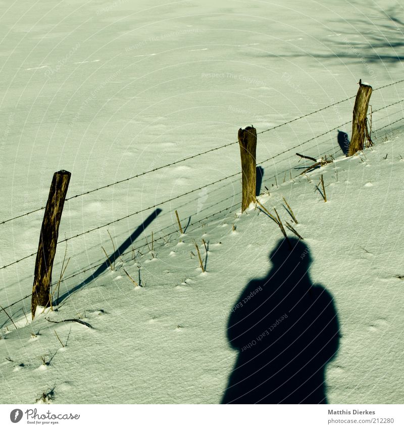 winter Winter Climate change Weather Beautiful weather Ice Frost Snow Esthetic Human being Take a photo Pasture Meadow Fence Fence post Self portrait Hiking