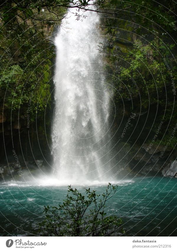 waterfall Landscape Water Beautiful weather Plant Virgin forest Waterfall Deserted Esthetic Fluid Fresh Wet Positive Soft Blue Green White Calm Energy Pure