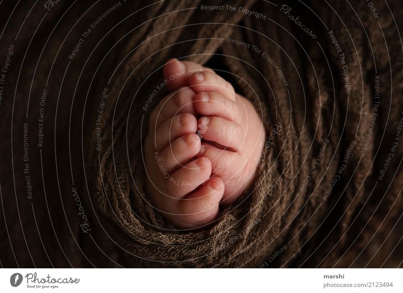 baby feet Baby Toddler 0 - 12 months Emotions Moody Offspring Toes Small Brown newborn Sweet Love 10 Delicate Child Trust Feet Colour photo Interior shot