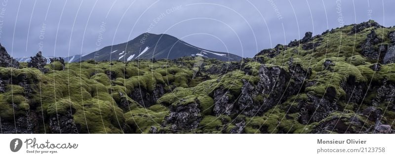 Mystical Landscape Environment Nature Plant Moss Hill Rock Alps Mountain Green Lava field Iceland Colour photo Subdued colour Exterior shot Deserted Morning