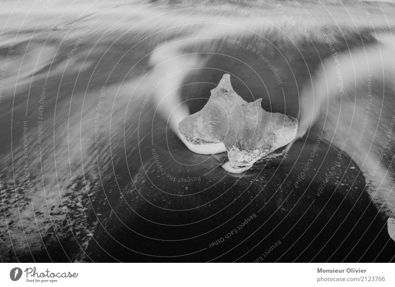 Ice on the beach Frost Waves Coast Esthetic Abstract Movement Iceberg Iceland Glacier Ocean Black & white photo Deserted Contrast Beach White