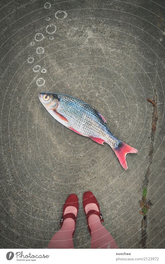 fish on land (2) Fish Mock-up Paper False Surrealism Strange Legs Feet Footwear Stockings Stand Exterior shot feminine Street Pink Red Bubble