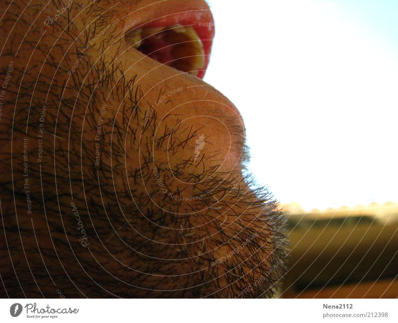 AAAAhhhhhrrrg.... Masculine Man Adults Mouth Lips Facial hair Old Breathe Scream Growth Beard hair Black-haired Teeth To talk Young man Colour photo