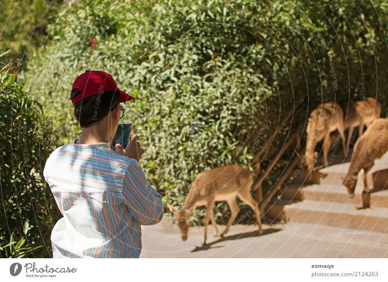 Niño en la naturaleza Lifestyle Vacation & Travel Tourism Adventure Safari Summer Summer vacation Boy (child) Infancy 8 - 13 years Child Zoo Environment Nature