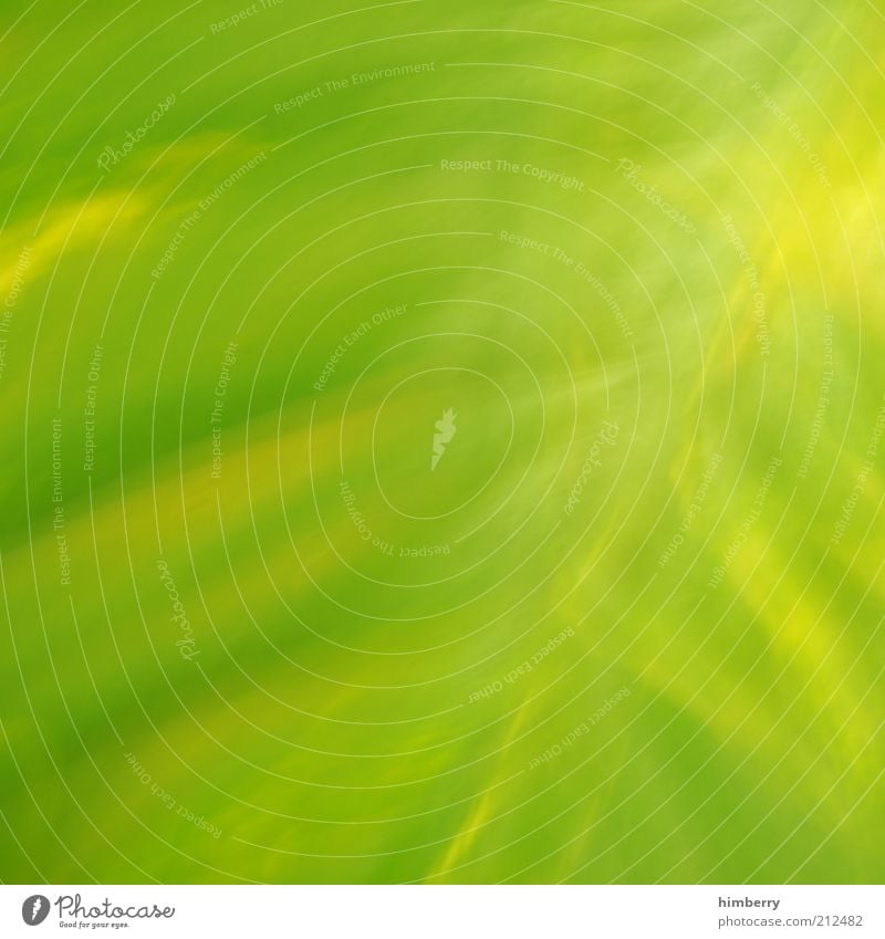 greenish yellowish Advertising Industry Art Work of art Environment Nature Plant Spring Summer Foliage plant Design Colour Peace Climate Surrealism Green