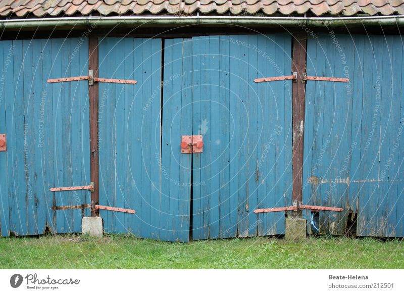 I'm afraid we'll have to stay outside! Living or residing Garden Room Workplace Environment Village Hut Wood Old Exceptional Blue Emotions Fear of the future