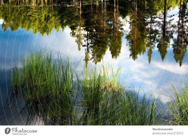 immersion Lifestyle Trip Summer Environment Nature Landscape Water Clouds Lakeside Discover Natural Moody Loneliness Relaxation Freedom Idyll Pure Calm Senses