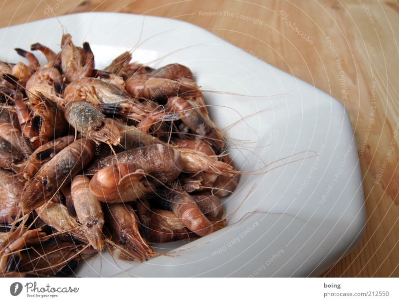 colon animal Seafood Nutrition Bowl Shrimp Shrimps North Sea crab crab coils Interior shot Studio shot Close-up Deserted Plate Multiple Many Food photograph