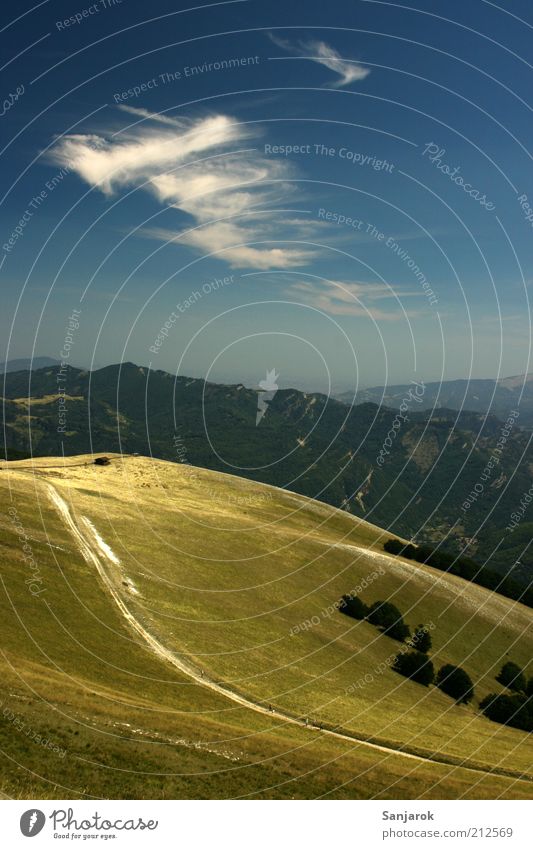 The way to true felicity Environment Nature Alpine pasture Alps Apennines Mountain Grassland Pasture Far-off places Peace Freedom Peak Summer Hill Italy