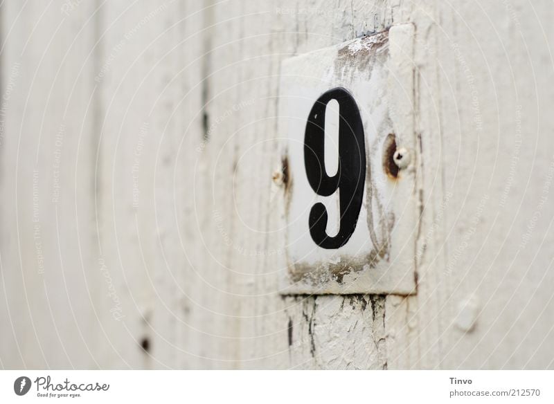 House number 9 on white wooden wall Digits and numbers Signs and labeling Old Transience Change Wooden door Painted Coat of paint White Flake off Weathered