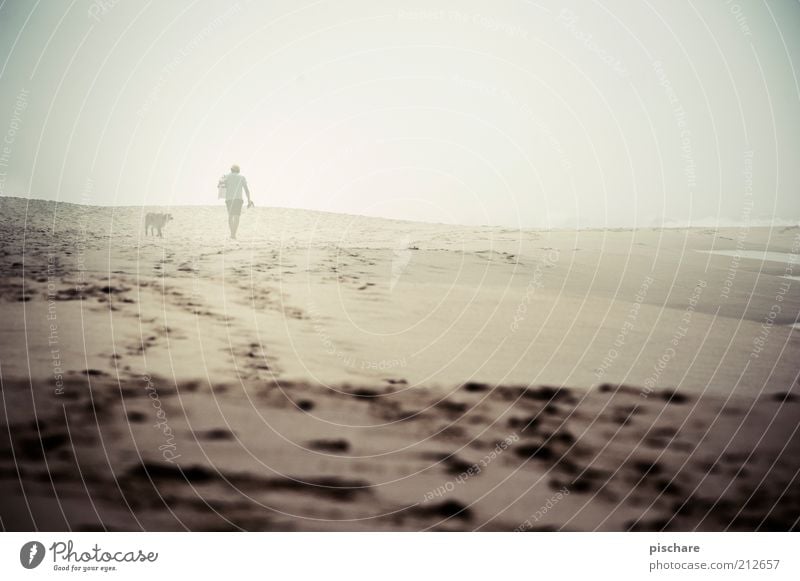 Man with dog in fog Masculine Adults 1 Human being Summer Bad weather Fog Beach Ocean Dog Going Gloomy Emotions Calm Loneliness Relationship Exterior shot