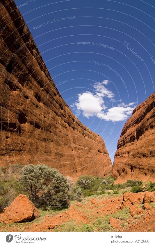 into the red Tourism Far-off places Summer Landscape Sky Clouds Beautiful weather Plant Bushes Rock Canyon Desert Line Famousness Gigantic Hot Tall Brown