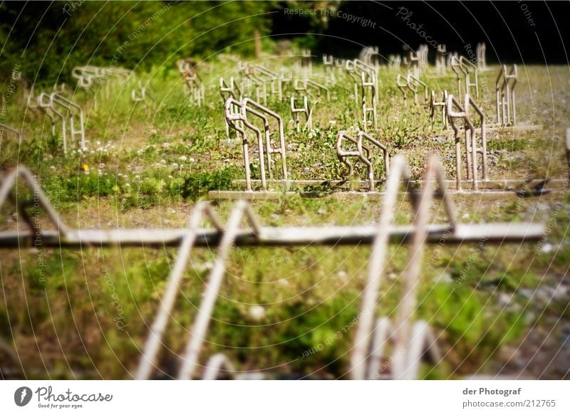 No bicycles Plant Bicycle rack Empty Colour photo Exterior shot Deserted Day Bicycle lot Weed Parking area Unused