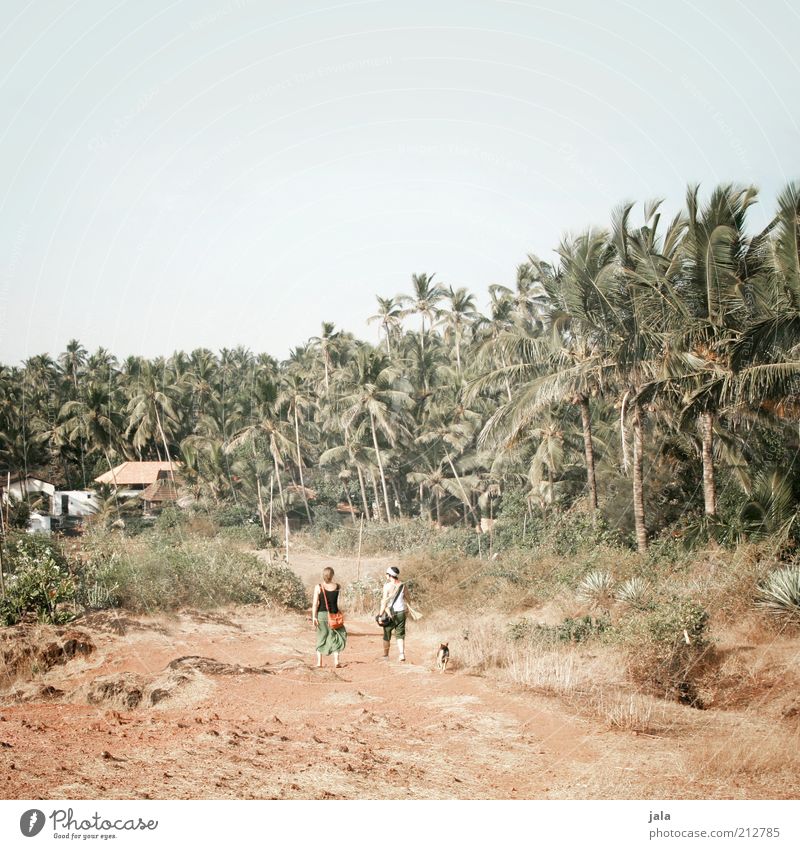 down hill walk Vacation & Travel Adventure Far-off places Summer Human being Woman Adults 2 Landscape Sky Plant Tree Palm tree Forest Hill Goa Asia India