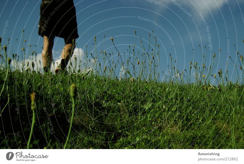 walk the grass Human being Masculine Legs 1 Environment Nature Landscape Plant Sky Clouds Summer Weather Beautiful weather Grass Hill Pants Going Blue Green