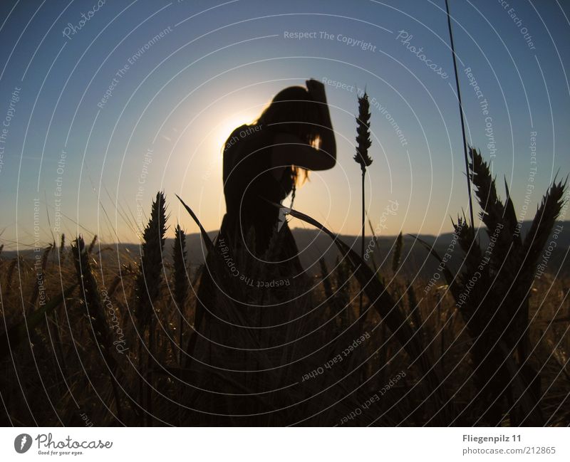 Girl in the cornfield Feminine Young woman Youth (Young adults) 1 Human being Nature Cloudless sky Summer Field Movement Dream Soft Moody Protection Sadness